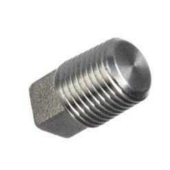 Champion 100210 Plug